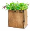 Growing Kit - Organic Salad - Mesclun