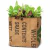 Growing Kit - Organic Salad  Oriental Mix