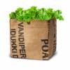 Growing Kit - Organic Salad  Bowl Green