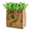 Growing Kit - Organic Salad  Rocket