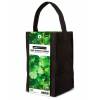 Aromatic Plants Growing Kit  Coriander