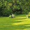 Lawn Shady Areas- 5kg - 200m2