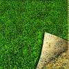 Overseeding Lawn - 500gr - 25m2