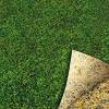 Overseeding Lawn - 5kg - 250m2