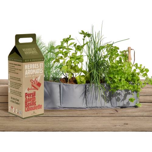 Growing Kit Herbs and Spices for Cooking buy Growing Kit Herbs