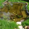 Pond Liner - 0.5 mm  4 x 4 m - Ubbink