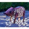 Luminous Decorative Animal - Pig