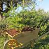 Decorative Wooden Wheelbarrow XL