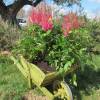 Decorative Wooden Wheelbarrow XL