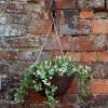 Hanging Basket Artificial Plant - Pink and White