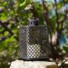 LED lantern - Cairene - Smart Garden