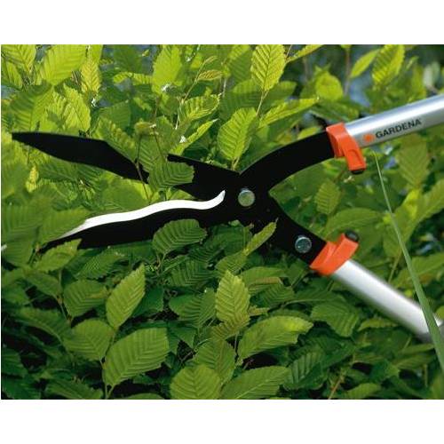 Hedge Clippers 650 Premium Gardena buy Hedge Clippers 650 Premium