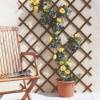 Expandable Plastic Trellis - 050 x 150 cm