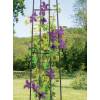 Obelisk Garden Trellis - 200 cm