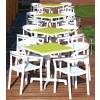 Dining set 4 places in green and white