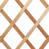 Expandable Wooden Trellis - 50 x 150 cm