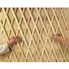 Expandable Wooden Trellis - 50 x 150 cm