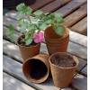 Biodegradable Round Pots 6cm