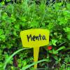 T shaped plant labels 15cm - Nortne