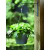 Corsica Hanging Basket - D30 cm - White - Elho