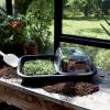 Green Basics Greenhouse Lime and Tray - Elho