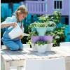 Corsica Vertical Garden - Anthracite - Elho