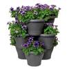 Corsica Vertical Garden - Anthracite - Elho