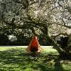 Suspended Hammock - Single Cacoon - Orange