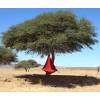 Suspended hammock - Single Cacoon - Red