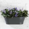 Corsica Wall Basket - 39x17cm- Anthracite - Elho