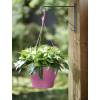 Corsica Hanging Basket - D30cm - Cherry - Elho