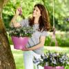 Corsica Hanging Basket - D30cm - Cherry - Elho