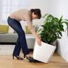 Pot Stands on Wheels Cube 50-Classico 60 - LECHUZA