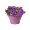 Corsica Wall Basket - D.25 cm - Vivid Violet- Elho