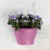 Corsica Wall Basket - D.25 cm - Vivid Violet- Elho