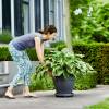 Flower-pot Support with Casters - Anthracite