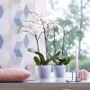 Brussels Orchid High D.12 cm - White - Elho