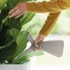 Plunge Watering Can - Ochre - Elho