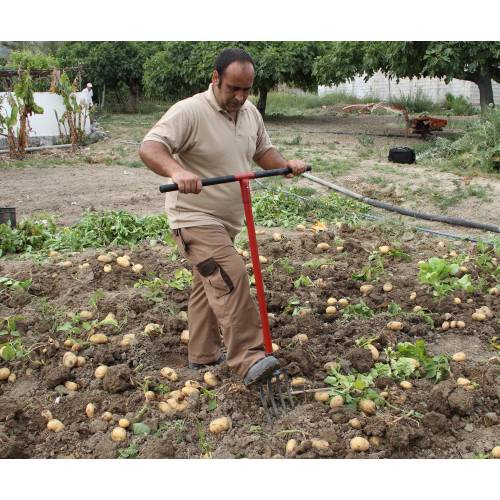 Digging ForkSpade with extralong handle EDT buy Digging ForkSpade with extralong handle