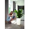 Milano All-in-One - H55cm - Anthracite Mat - Elho