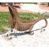 Ornamental Animal - Iguana