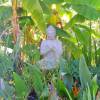 Garden statue Zen Buddha - Height 60 cm