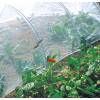 Anti insects net for vegetable garden - 2.2x10m