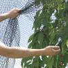 Reinforced net for fruit trees - 5x6 m