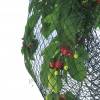 Reinforced net for fruit trees - 5x6 m