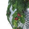 Reinforced net for fruit trees - 5x12 m