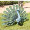 Ornamental Animal - Peacock
