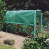 Tunnel-shaped greenhouse for Tomatoes - 3 m