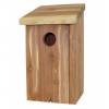 Tits Nest Box - Caillard