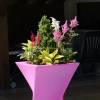 Contemporary Pot - 55 x 55 x H100 cm  Fuschia